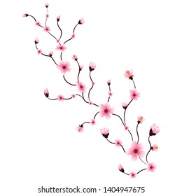 Sakura or cherry blossom branch, isolated, vector illustration.