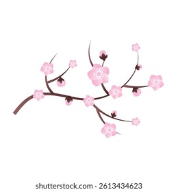 Sakura Cherry Blossom Branch Vector Illustration