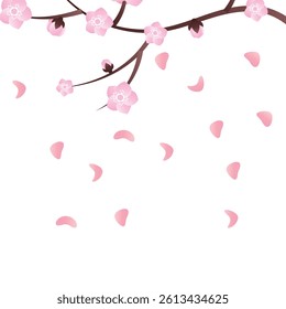 Sakura Cherry Blossom Branch Vector Illustration