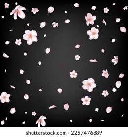 Sakura Cherry Blossom Confetti. Beautiful Rich VIP Watercolor Texture. Windy Leaves Confetti Banner. Falling Japanese Rose Cherry Sakura Petals Poster. Blooming Cosmetics Ad Female Flower Background.