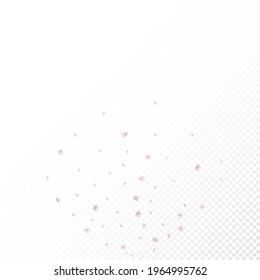 Sakura Cherry Blossom Confetti. Blooming Cosmetics Ad Noble Flower Background. Female Premium Magic Texture. Windy Leaves Confetti Banner. Falling Japanese Rose Sakura Cherry Petals Poster.