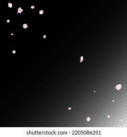 Sakura Cherry Blossom Confetti. Blooming Cosmetics Ad Female Flower Background. Windy Leaves Confetti Border. Beautiful Premium Tender Pattern. Falling Japanese Cherry Rose Sakura Petals Poster.