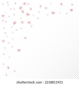 Sakura Cherry Blossom Confetti. Blooming Cosmetics Ad Female Flower Background. Flying Japanese Rose Sakura Cherry Petals Poster. Beautiful Rich VIP Magic Pattern. Windy Leaves Confetti Design.