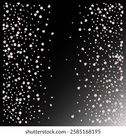 Sakura Cherry Blossom Confetti. Blooming Cosmetics Ad Beautiful Flower Background. Noble Premium Feminine Pattern. Falling Japanese Cherry Sakura Rose Petals Border. Windy Leaves Confetti Banner.