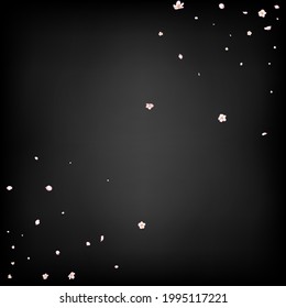 Sakura Cherry Blossom Confetti. Elegant Rich VIP Magic Pattern. Windy Leaves Confetti Poster. Falling Japanese Rose Sakura Cherry Petals Frame. Blooming Cosmetics Ad Noble Flower Background.