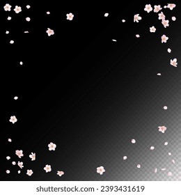 Sakura Cherry Blossom Confetti. Elegant Rich VIP Magic Texture. Windy Leaves Confetti Banner. Falling Japanese Cherry Rose Sakura Petals Design. Blooming Cosmetics Ad Female Floral Background.