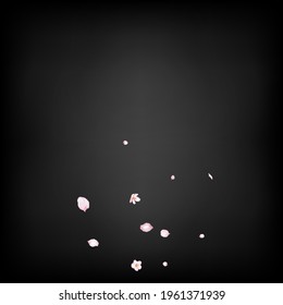 Sakura Cherry Blossom Confetti. Falling Japanese Sakura Rose Cherry Petals Poster. Female Rich VIP Feminine Texture. Blooming Cosmetics Ad Beautiful Floral Background. Windy Leaves Confetti Border.