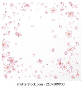 Sakura Cherry Blossom Confetti. Falling Japanese Sakura Cherry Rose Petals Border. Blooming Cosmetics Ad Noble Floral Background. Windy Leaves Confetti Poster. Female Premium Pastel Pattern.