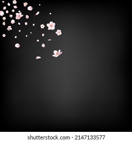 Sakura Cherry Blossom Confetti. Falling Japanese Sakura Cherry Rose Petals Design. Blooming Cosmetics Ad Elegant Floral Background. Windy Leaves Confetti Border. Beautiful Premium Tender Pattern.