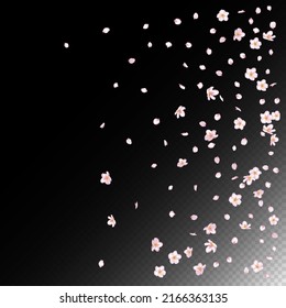Sakura Cherry Blossom Confetti. El diseño de los pétalos de cerezo Rose Sakura en Japón está cayendo. Windy Deja El Marco Confetti. Cosméticos Florecientes Y Fondo De Flor Elegante. Textura de acuarela premium femenina.