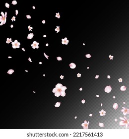 Sakura Kirsche Blossom Confetti. Fallend japanische Rose Sakura Kirschtorten Design. Elegantes Premium-Aquarellmuster. Windy Leaves Confetti Grenze. Blühende Kosmetik und floraler Hintergrund.