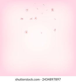 Sakura Cherry Blossom Confetti. Falling Japanese Sakura Rose Cherry Petals Banner. Windy Leaves Confetti Frame. Blooming Cosmetics Ad Elegant Flower Background. Female Rich VIP Magic Texture.