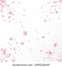 Konfetti aus Sakurakirschblüten. Fallende japanische Rose Cherry Sakura Blütenblätter Grenze. Windy Leaves Konfetti Design. Elegantes Rich VIP Magic Pattern. Blühende Kosmetik und weibliche Blume Hintergrund.