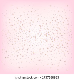 Sakura Cherry Blossom Confetti. Female Premium Tender Texture. Blooming Cosmetics Ad Beautiful Flower Background. Windy Leaves Confetti Poster. Flying Japanese Sakura Rose Cherry Petals Banner.