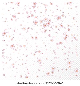 Sakura Cherry Blossom Confetti. Female Premium Pastel Texture. Windy Leaves Confetti Banner. Falling Japanese Sakura Rose Cherry Petals Poster. Blooming Cosmetics Ad Noble Floral Background.