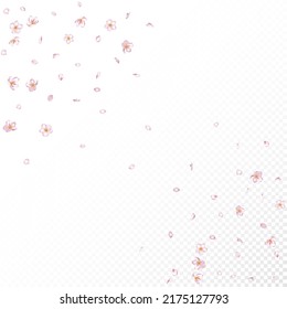 Sakura Cherry Blossom Confetti. Flying Japanese Rose Sakura Cherry Petals Border. Blooming Cosmetics Ad Female Floral Background. Windy Leaves Confetti Design. Beautiful Rich VIP Pastel Pattern.