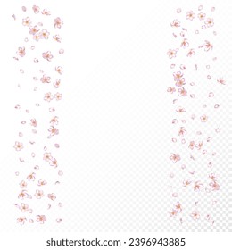 Sakura Cherry Blossom Confetti. Flying Japanese Rose Sakura Cherry Petals Design. Windy Leaves Confetti Frame. Female Premium Watercolor Texture. Blooming Cosmetics Ad Noble Floral Background.