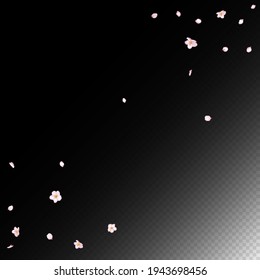 Sakura Cherry Blossom Confetti. Windy Leaves Confetti Frame. Female Rich VIP Tender Pattern. Blooming Cosmetics Ad Beautiful Floral Background. Falling Japanese Sakura Rose Cherry Petals Design.