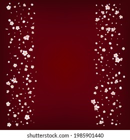 Sakura Cherry Blossom Confetti. Windy Leaves Confetti Frame. Beautiful Premium Tender Pattern. Blooming Cosmetics Ad Elegant Flower Background. Flying Japanese Rose Sakura Cherry Petals Banner.