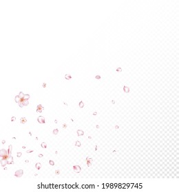 Sakura Cherry Blossom Confetti. Windy Leaves Confetti Design. Blooming Cosmetics Ad Elegant Flower Background. Noble Rich VIP Tender Pattern. Falling Japanese Sakura Cherry Rose Petals Poster.