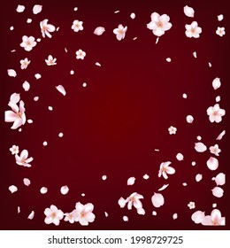 Sakura Cherry Blossom Confetti. Windy Leaves Confetti Frame. Beautiful Premium Magic Pattern. Falling Japanese Sakura Cherry Rose Petals Banner. Blooming Cosmetics Ad Elegant Flower Background.