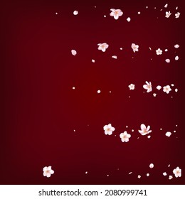 Sakura Cherry Blossom Confetti. Windy Leaves Confetti Design. Falling Japanese Cherry Rose Sakura Petals Banner. Female Rich VIP Feminine Texture. Blooming Cosmetics Ad Noble Flower Background.