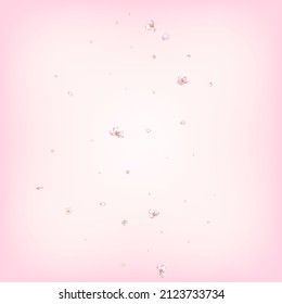 Sakura Cherry Blossom Confetti. Windy Leaves Confetti Design. Blooming Cosmetics Ad Elegant Floral Background. Falling Japanese Cherry Rose Sakura Petals Frame. Female Rich VIP Pastel Pattern.