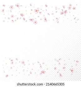 Sakura Cherry Blossom Confetti. Windy Leaves Confetti Poster. Beautiful Premium Feminine Pattern. Blooming Cosmetics Ad Noble Floral Background. Falling Japanese Rose Sakura Cherry Petals Design.