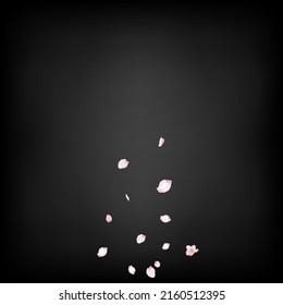 Sakura Cherry Blossom Confetti. Windy Leaves Confetti Frame. Elegant Rich VIP Watercolor Texture. Blooming Cosmetics Ad Beautiful Flower Background. Flying Japanese Sakura Rose Cherry Petals Poster.