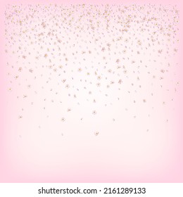 Sakura Cherry Blossom Confetti. Windy Leaves Confetti Banner. Blooming Cosmetics Ad Female Flower Background. Beautiful Premium Pastel Pattern. Falling Japanese Sakura Rose Cherry Petals Design.