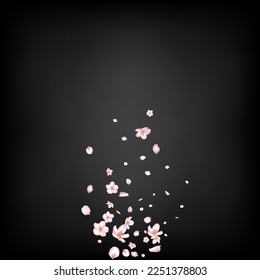 Sakura Cherry Blossom Confetti. Windy Leaves Confetti Border. Falling Japanese Sakura Cherry Rose Petals Design. Beautiful Rich VIP Watercolor Pattern. Blooming Cosmetics Ad Female Floral Background.