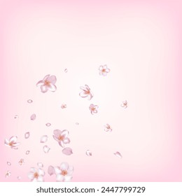 Confeti en flor de cerezo Sakura. Afiche de confeti con hojas ventosas. Caída del Anuncio japonés de pétalos de cereza de rosa Sakura. Patrón rico de la mujer VIP tierna. Cosméticos Florecientes Y Hermoso Fondo De Flores.