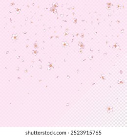 Sakura Cherry Blossom Confetti. Windy Leaves Confetti Frame. Blooming Cosmetics Ad Female Floral Background. Flying Japanese Sakura Rose Cherry Petals Poster. Beautiful Premium Magic Pattern.