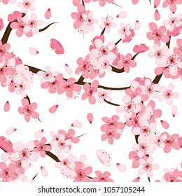 Sakura , Cherry blossom flowers seamless pattern vector illustration