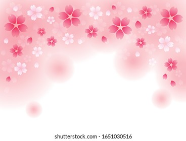 Sakura Cherry Blossom Japanese
 Flower Pink Background,vector illustration, design