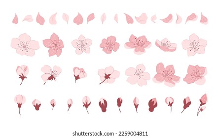 Sakura cherry blossom. Japanese cherry petals, falling spring flowers and sakura season vector icons set. Asian floral blossom, flourishing tree, pink buds. Springtime japan beautiful plant