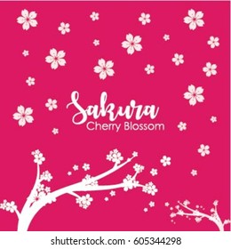 sakura cherry blossom Logo Vector Template
