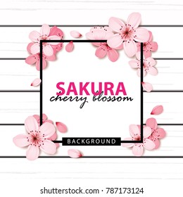 Sakura , cherry blossom on wood background vector illustration
