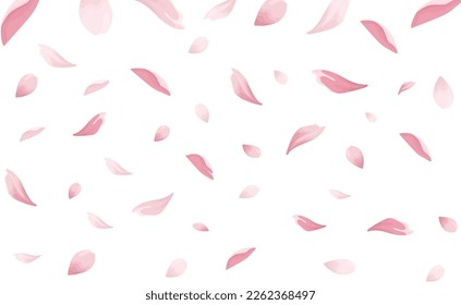 Sakura, Cherry blossom petals vector art overlay.