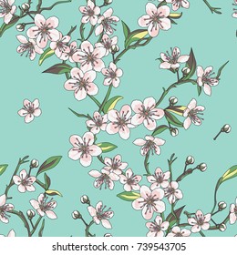 Sakura Cherry Blossom Seamless Vector Pattern