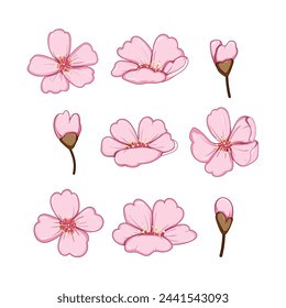 sakura cherry blossom set cartoon. floral pink, japan nature, branch tree sakura cherry blossom sign. isolated symbol vector illustration