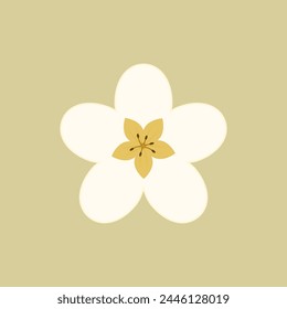 Sakura or cherry blossom Spring blooming flowers, white petals vector.