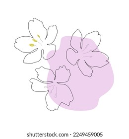Sakura y flor de cerezo .primavera dibujo .flor de línea y punto de color rosa .dibujo minimalista 