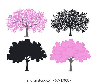 Sakura, cherry blossom tree in color and silhouettes