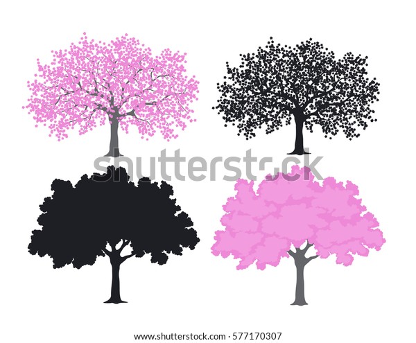 桜 桜の花の色とシルエット のベクター画像素材 ロイヤリティフリー