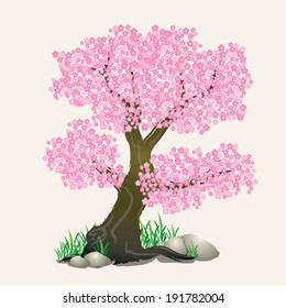 Sakura ,Cherry blossom  tree vector with rock and grass.designed using grunge brush , symbol, icon, graphic, vector.