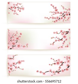 Sakura, Cherry Blossoming Tree Background Illustration. Set of Beautiful Floral Banners, Greeting cards, Wedding Invitations, Backdrops, Vouchers. EPS 10 vector file included