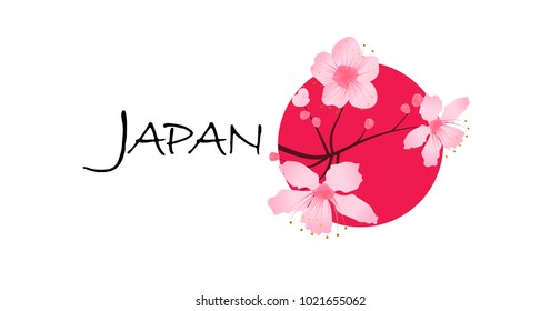 Sakura cherry blossoms on a red sun with text "Japan". Pink cherry flower blossom branch, peach bloom, sakura branch. Blooming Asian nature. Spring concept. Flat vector illustration. Isolated on white