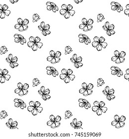 Sakura Cherry blossoms seamless pattern of vector illustration on white background