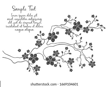 Sakura cherry blossoms with text. Cherry flower blossom branch, peach bloom, sakura branch. Blooming Asian nature. Vector illustration.